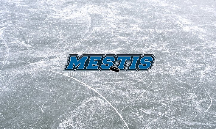 Mestiksen uusi hallitus nimetty